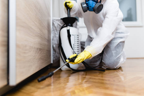 Best Pest Inspection Near Me  in Ely, IA