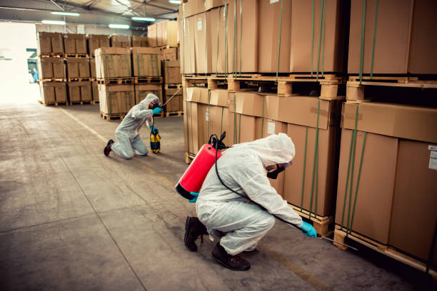 Best Emergency Pest Control  in Ely, IA