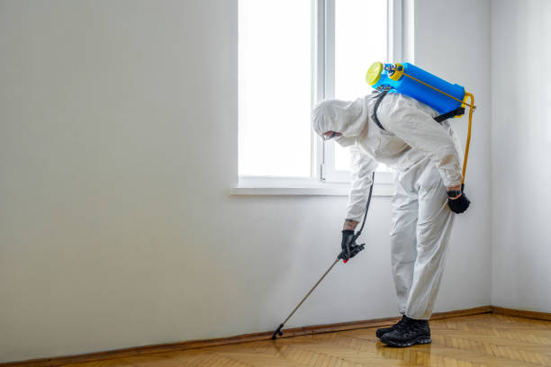 Best Affordable Pest Control Services  in Ely, IA