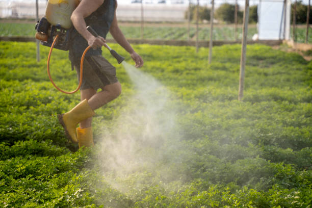 Best Pest Control Near Me  in Ely, IA