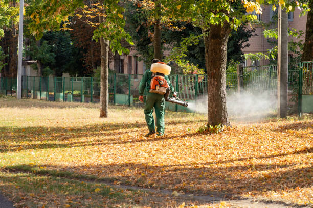 Best Cockroach Control Services  in Ely, IA
