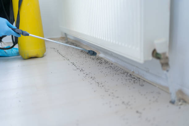 Best Wildlife Control Services  in Ely, IA
